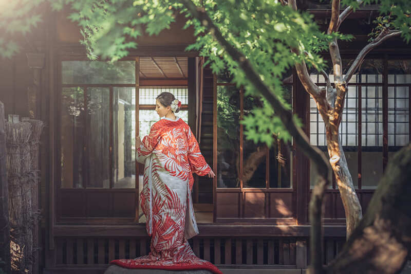 和装の後ろ姿ショット