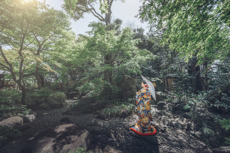 お庭の緑もたっぷり