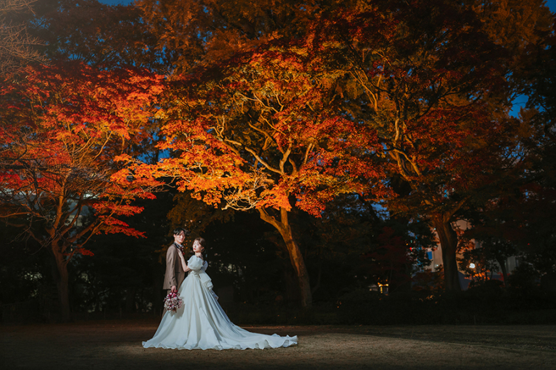 お庭の自然もたっぷり