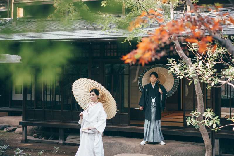 緑と白と橙と…