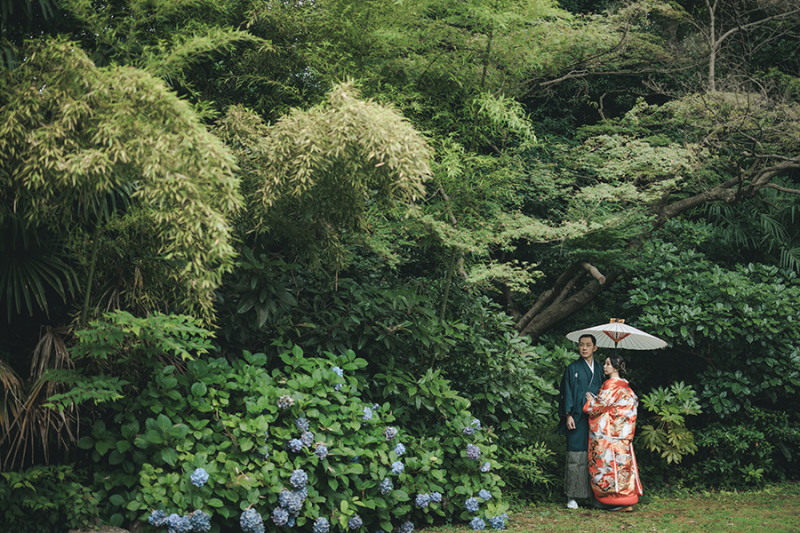 お庭の緑もたっぷり