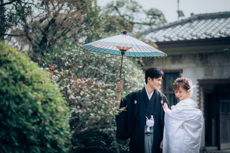 逆光が引き立てる