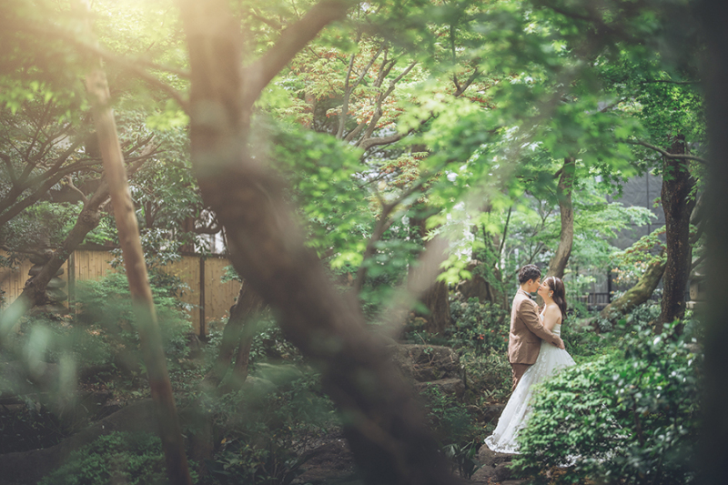 お庭の緑もたっぷり