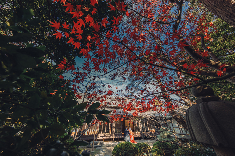 お庭の自然もたっぷり