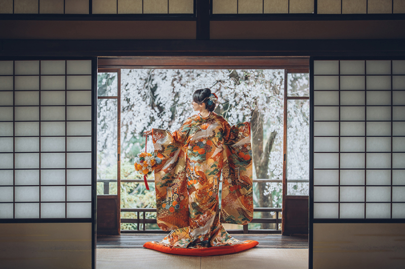 和装の後ろ姿ショット