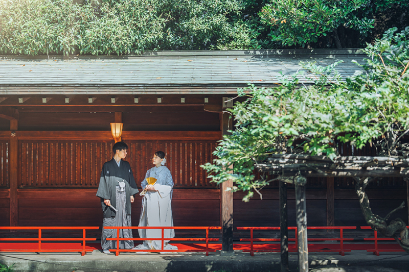 自然の中で美しいお写真を