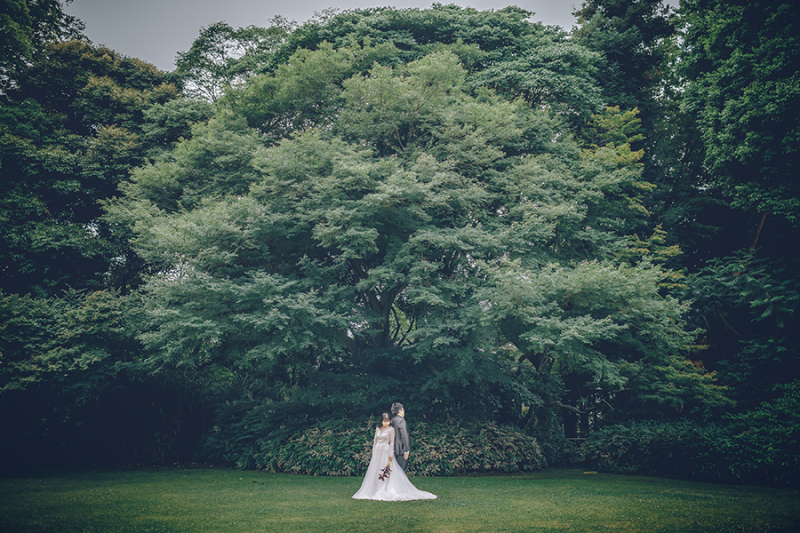 お庭の緑もたっぷり