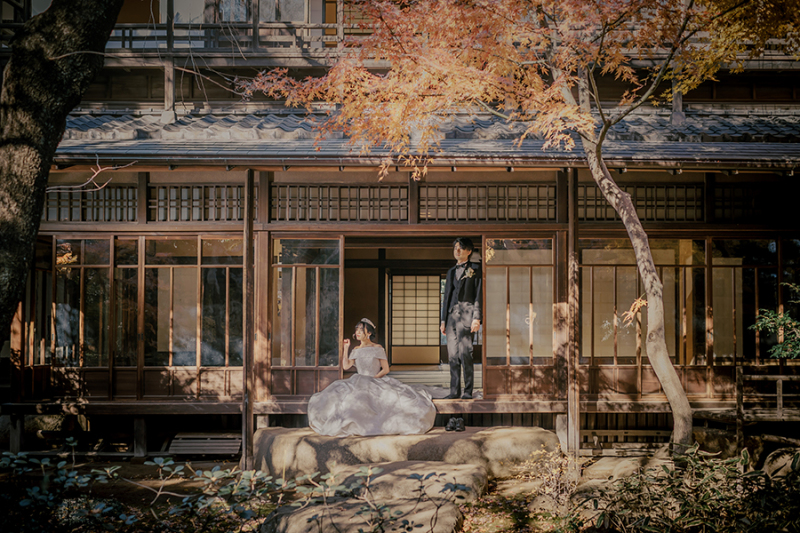 ドラマチックなお写真も