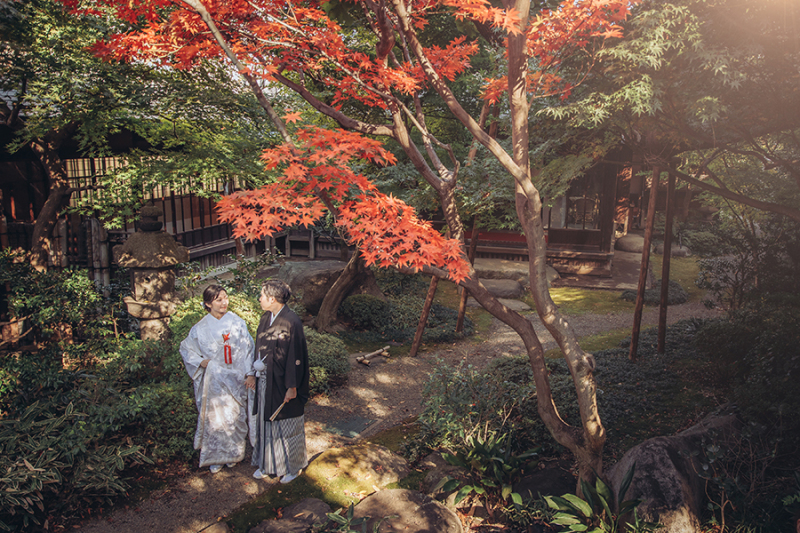 お庭の緑もたっぷり