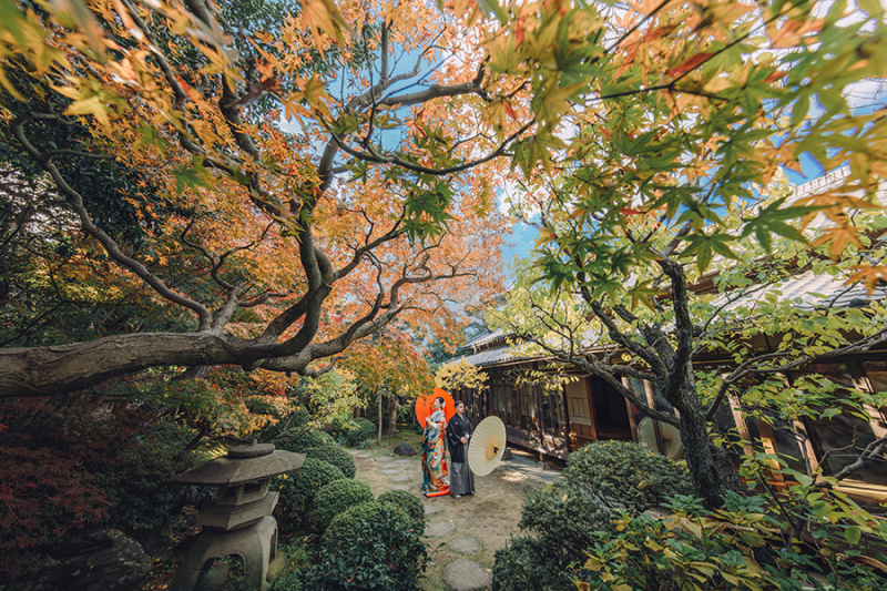 お庭の自然もたっぷり