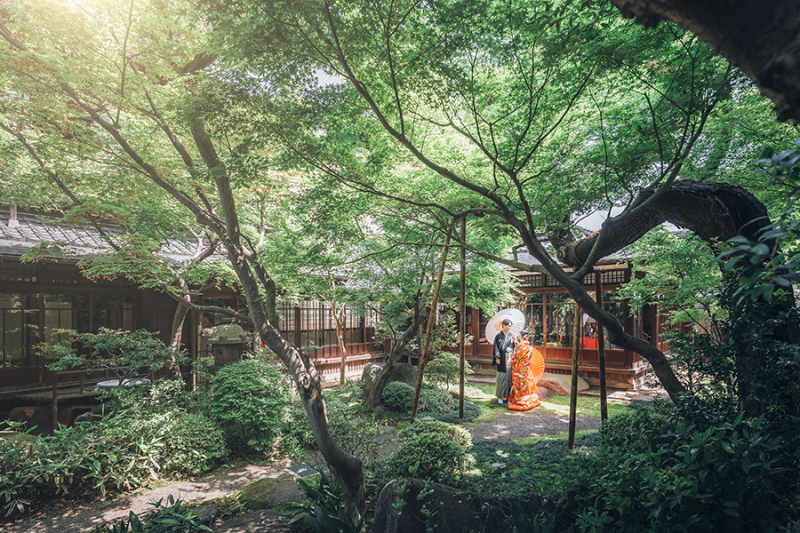 お庭の緑もたっぷり