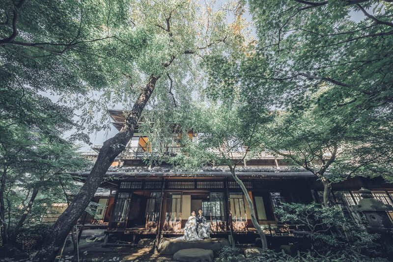 ドラマチックなお写真も