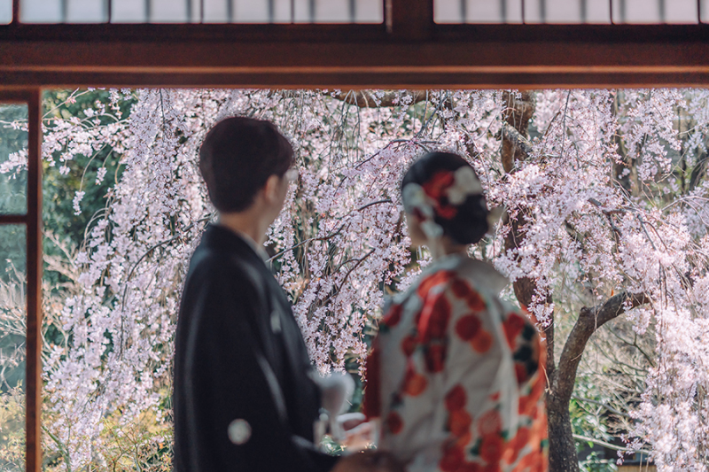 【歴史邸宅プラン】平日@旧安田楠雄邸