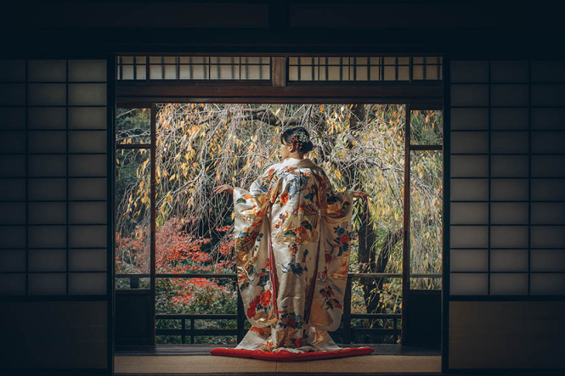 和装の後ろ姿ショット