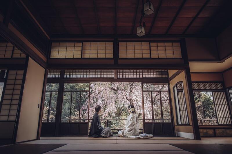 季節の桜を楽しみながら