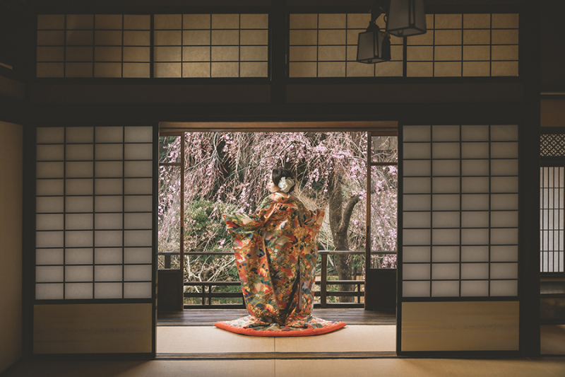 和装の後ろ姿ショット