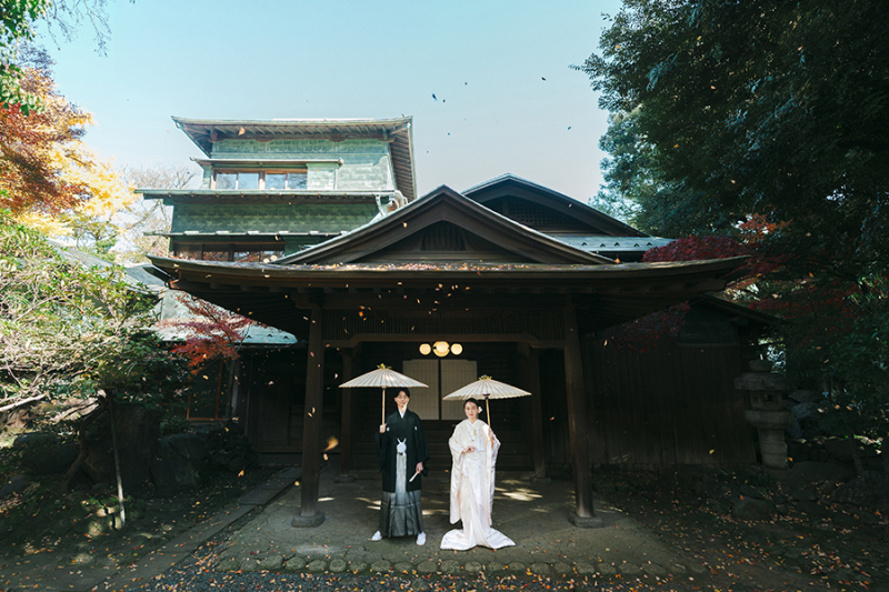 引きのお写真も