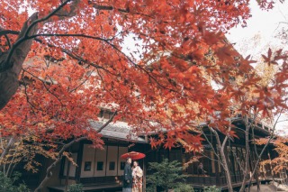【歴史邸宅プラン】平日@旧安田楠雄邸
