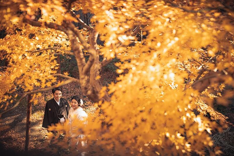 紅葉に包まれるような