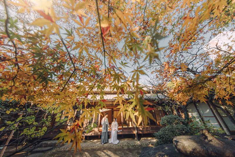 ドラマチックなお写真も