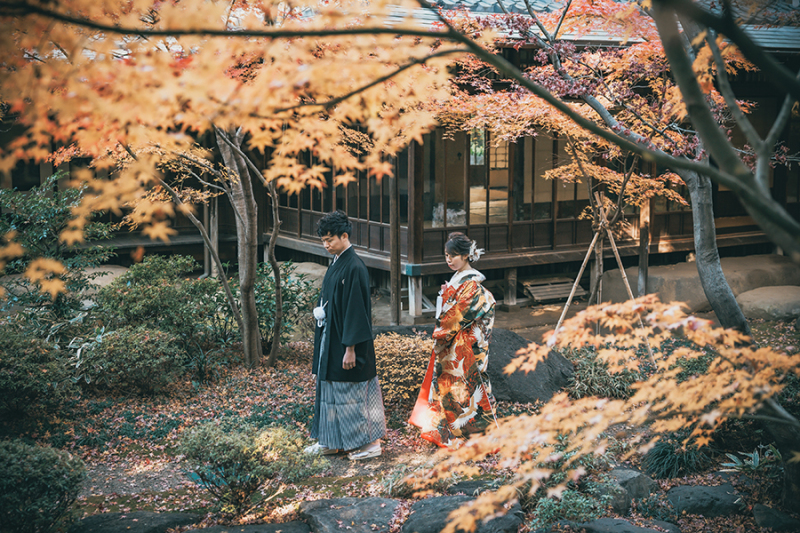 ドラマチックなお写真も