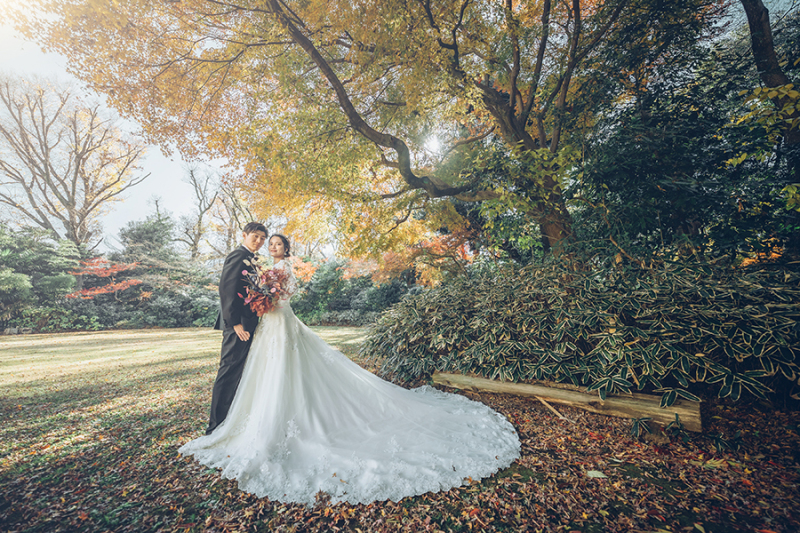 お庭の緑もたっぷり