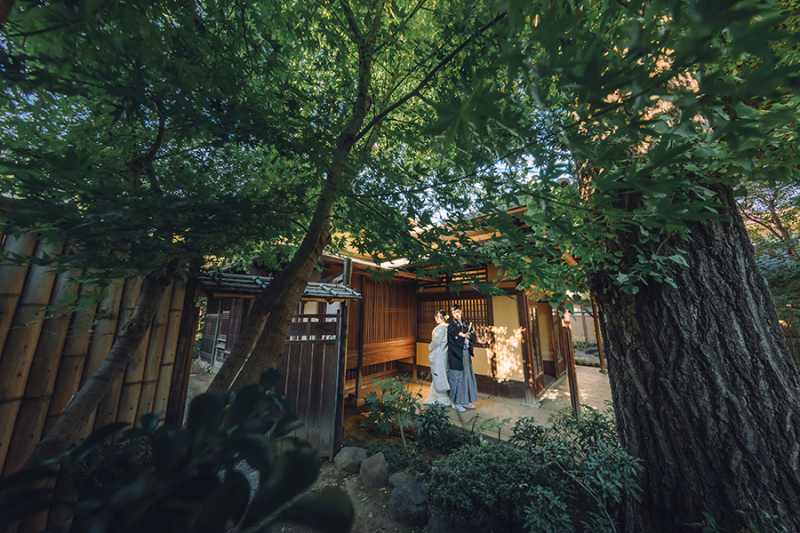 お庭の緑もたっぷり