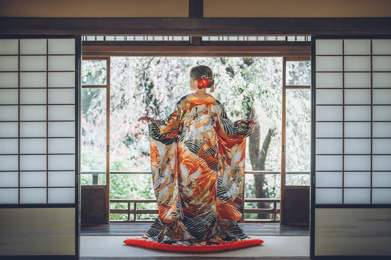 和装の後ろ姿ショット