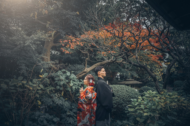 ドラマチックなお写真も