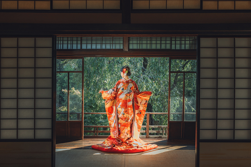 和装の後ろ姿ショット