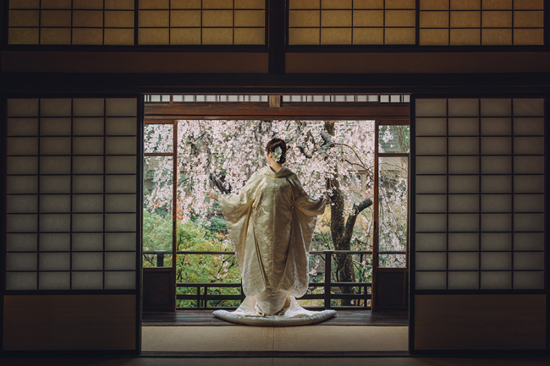 和装の後ろ姿ショット