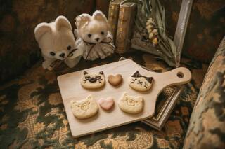 【歴史邸宅プラン】平日＠旧細川侯爵邸