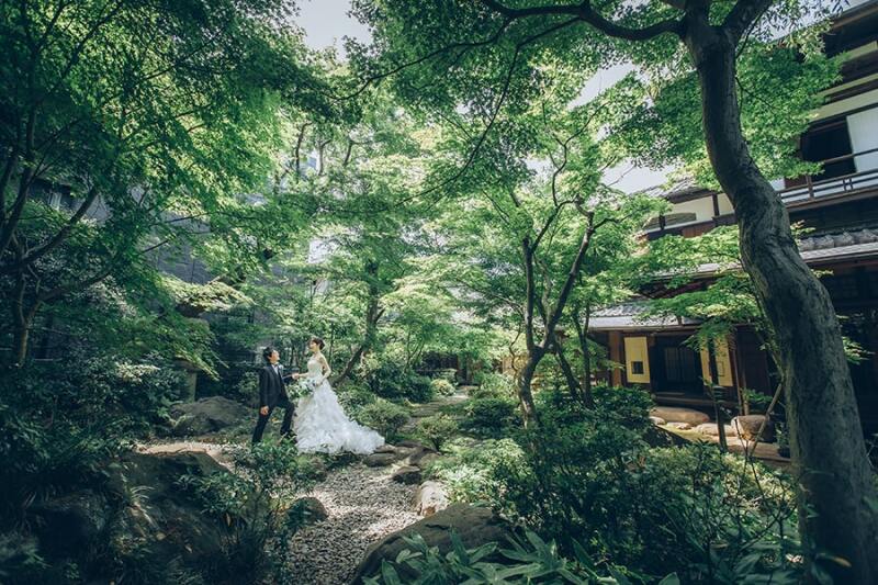 お庭の緑も美しい季節