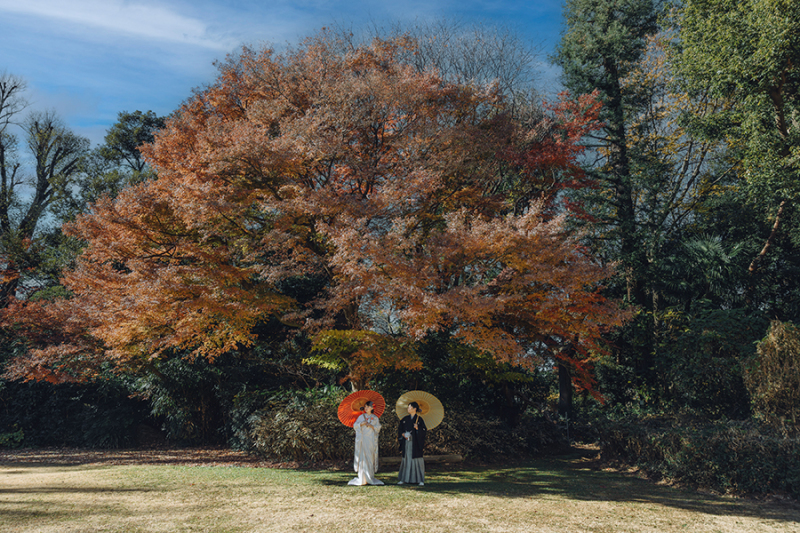 お庭の自然もたっぷり