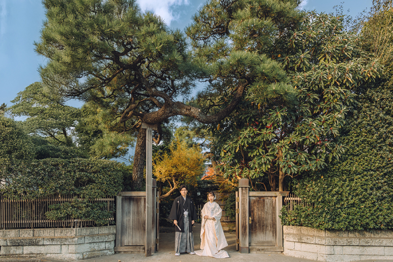 ドラマチックなお写真も