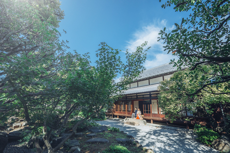 お庭の緑もたっぷり