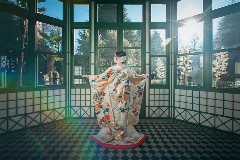 和装の後ろ姿ショット