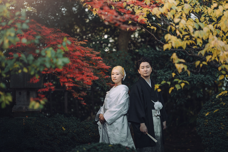 ドラマチックなお写真も