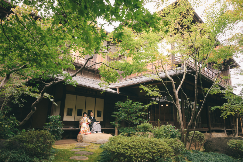 11月はまだまだ緑が深くて美しい季節です