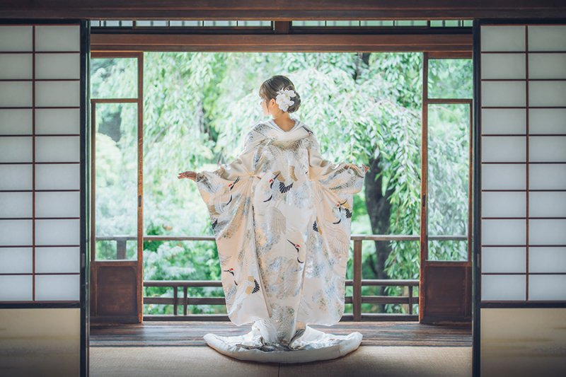 和装の後ろ姿ショット