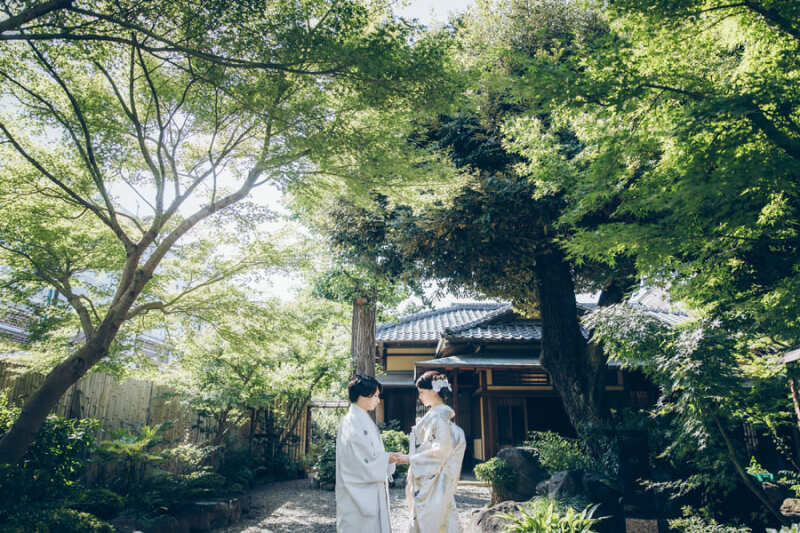 緑に包まれた爽やかな雰囲気で撮影開始