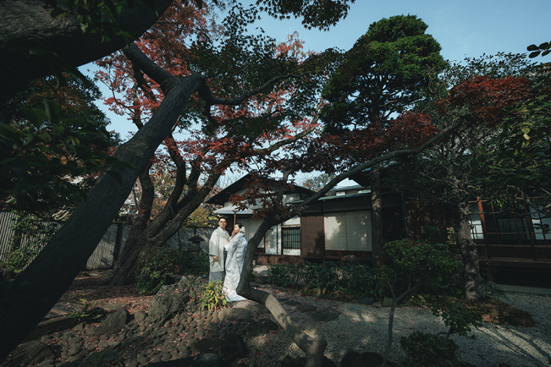 お庭の緑もたっぷり