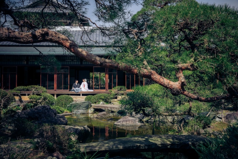 こんなお写真も