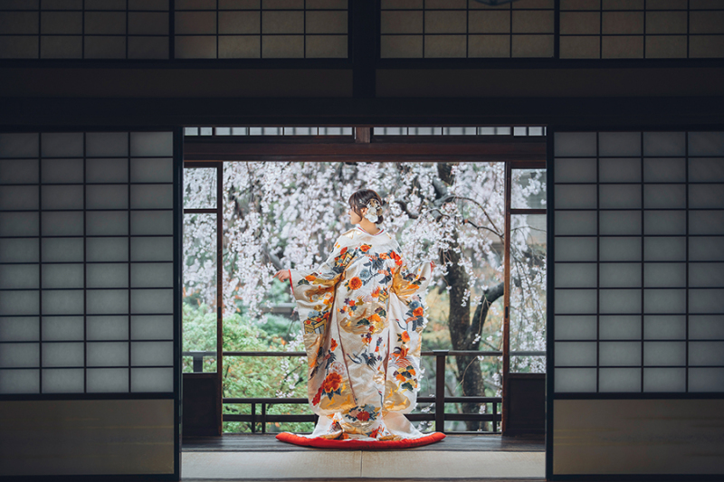 和装の後ろ姿ショット