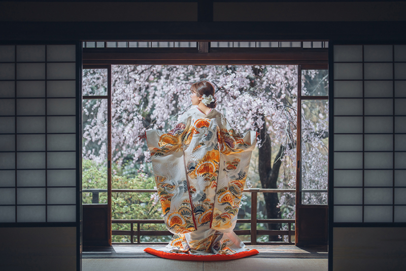 和装の後ろ姿ショット