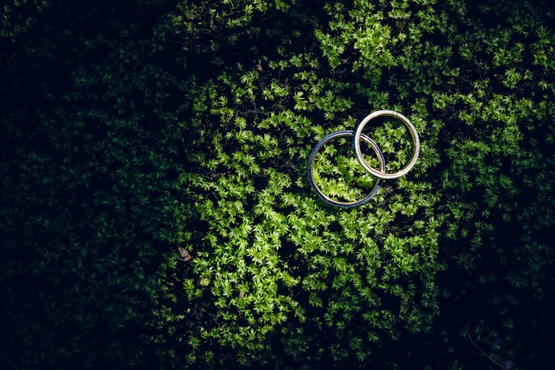 宝物をお持ちください