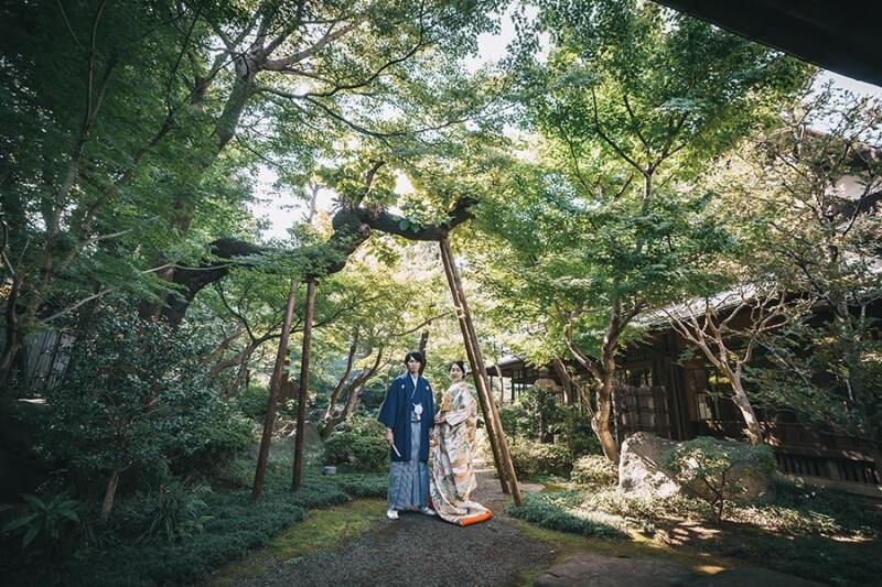 お庭の緑が綺麗な季節