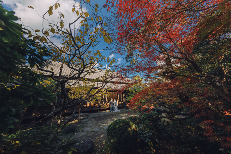 お庭の自然もたっぷり