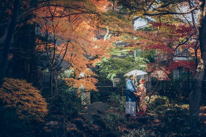 紅葉のなかの白番傘