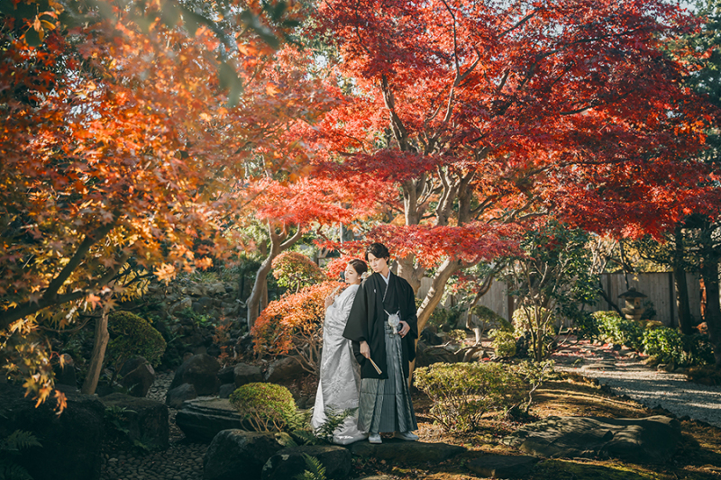 紅葉×白無垢